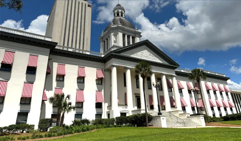 Muslim Brotherhood among 90+ groups designated as terrorist organisations by Florida