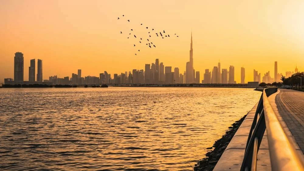 UAE ranks first globally in citizen satisfaction with government digital services at 89%, BCG survey finds