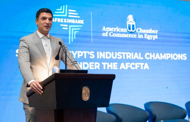Egypt seeks to expand exports to Africa as intra-African trade reaches $214bn