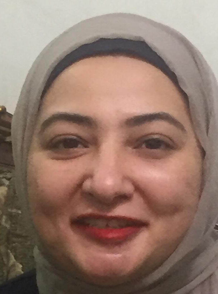 Opinion | The Gulf and the Red Sea: Are Arab States Becoming Arenas of Regional Power Struggles?