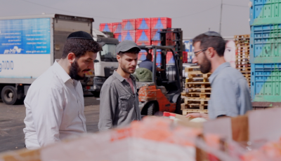 ‘Saving what’s left of Jewish values’: In Israel, ex-settlers try to make a difference