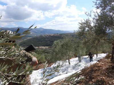Israeli strikes hit Kfar Tibnit, Qantara; Braasheet building evacuated after suspicious call