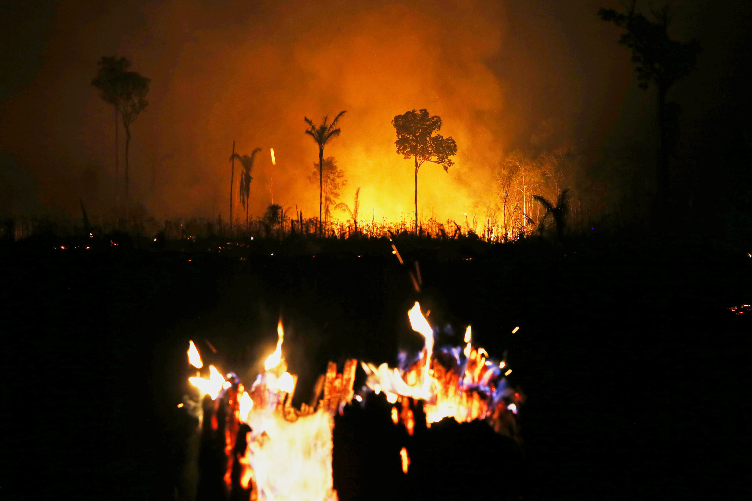 Brazil probing ‘criminal’ origin of forest fires: minister to AFP