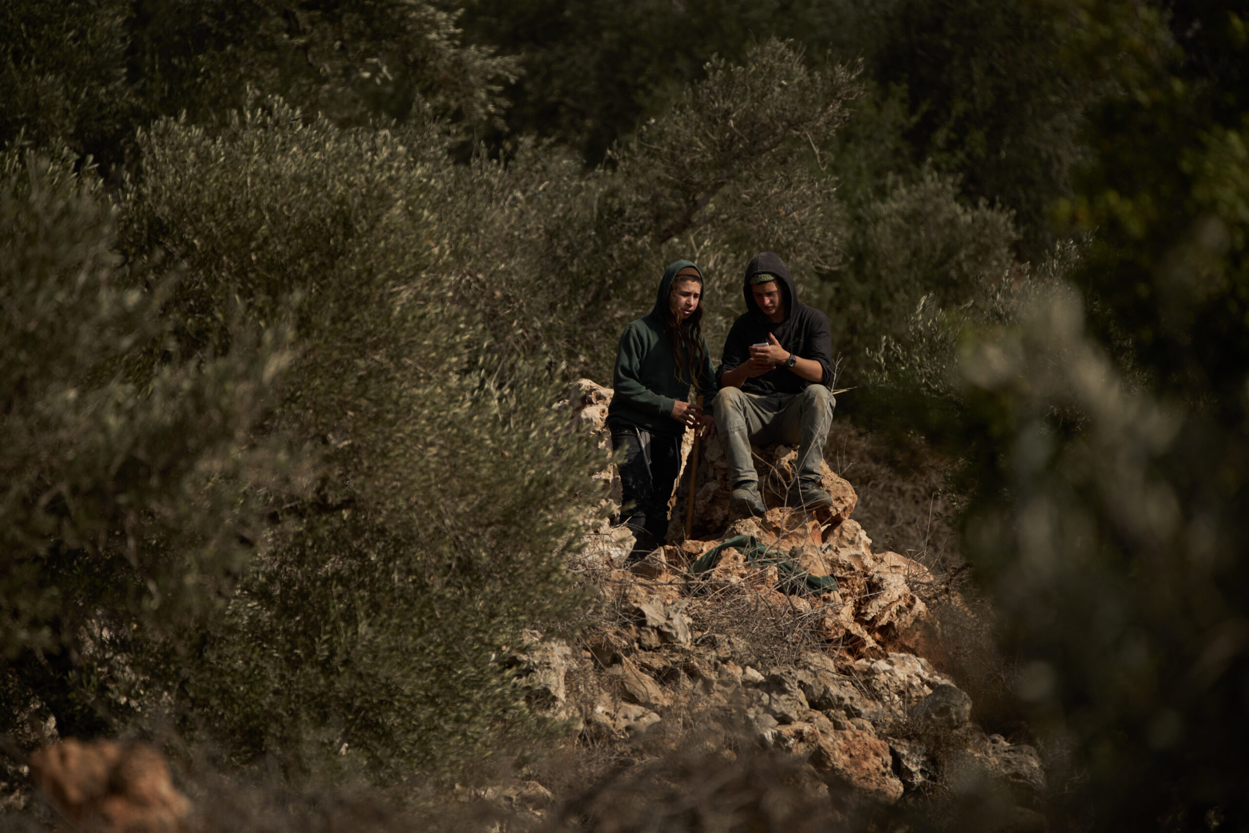 Clergy warn against rising Israeli violence amid Palestinian olive harvest season