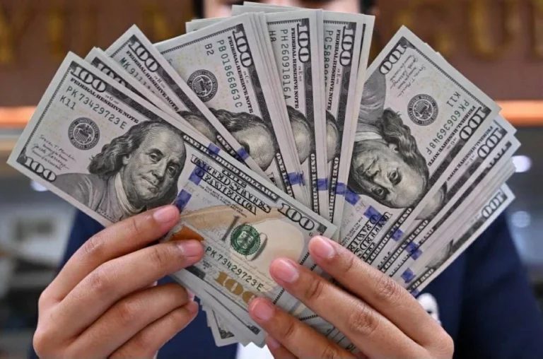 رفع سعر الفائدة في مصر يدفع باستقرار الدولار مقابل الجنيه
