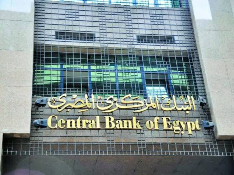 المركزي المصري يحذر من حيلة جديدة لسرقة بياناتك.. كيف تحمي أموالك؟