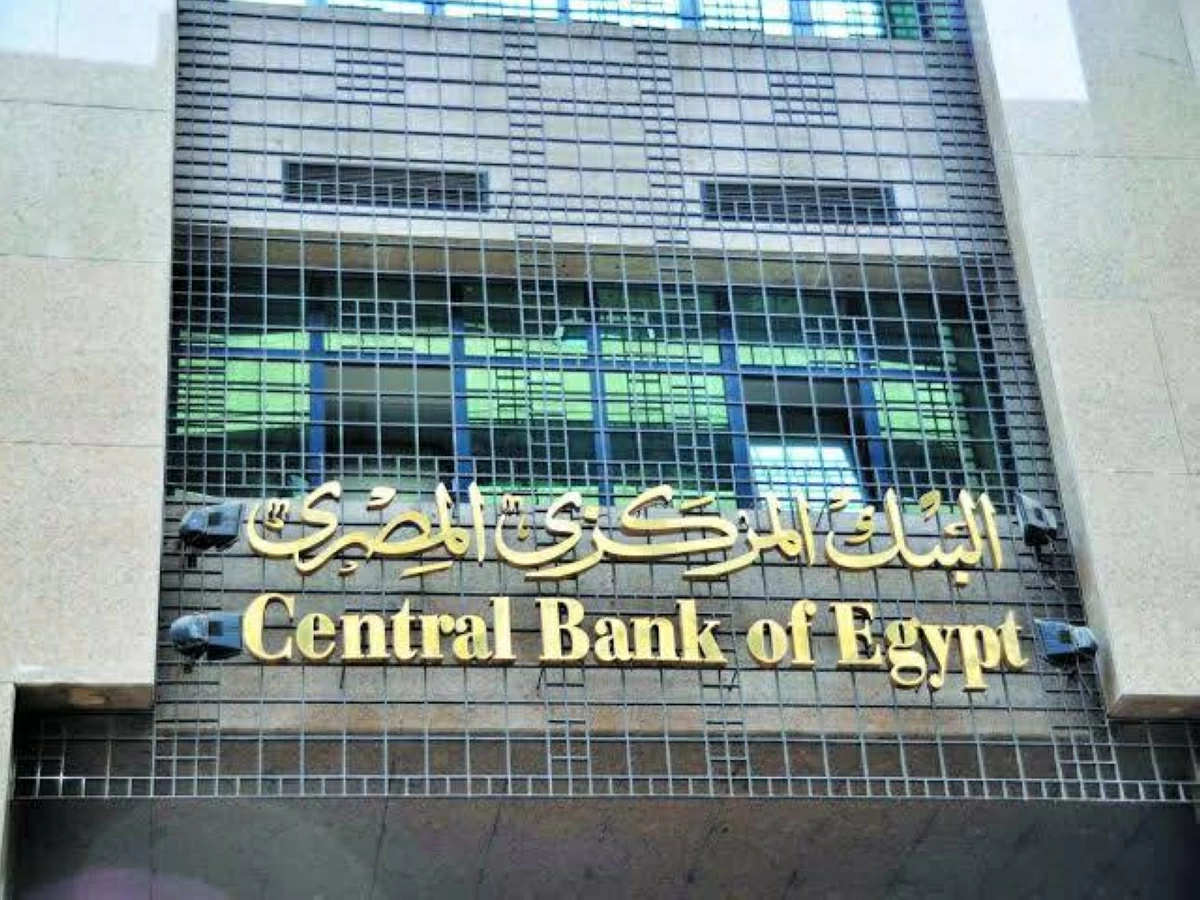 المركزي المصري يحذر من حيلة جديدة لسرقة بياناتك.. كيف تحمي أموالك؟