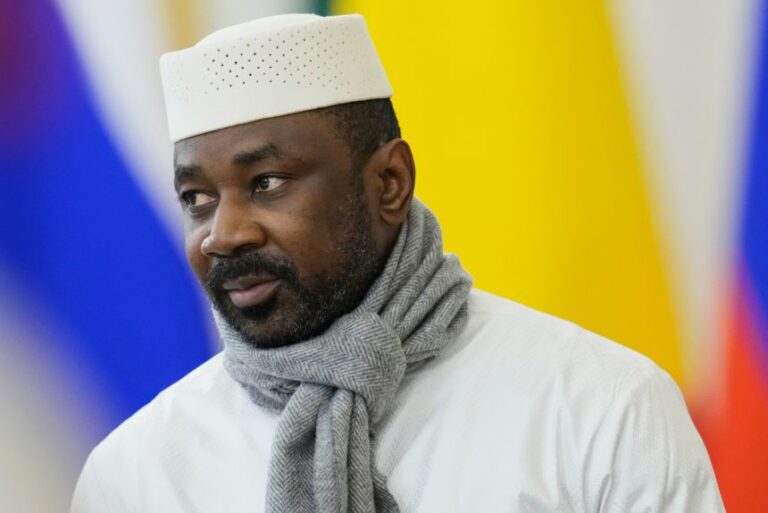 Putin wants Africa on his side. African leaders are playing their own game