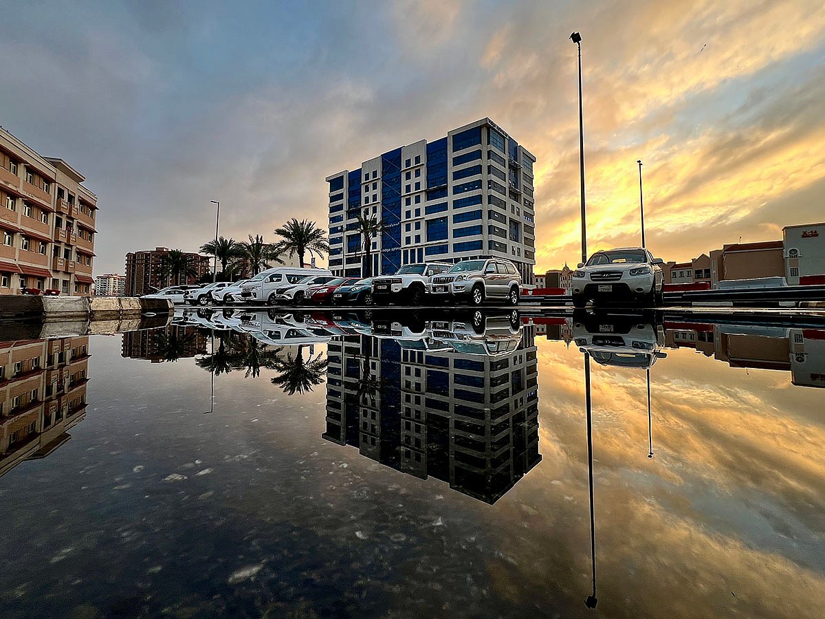 Why do mosquitoes increase after rainfall in UAE?