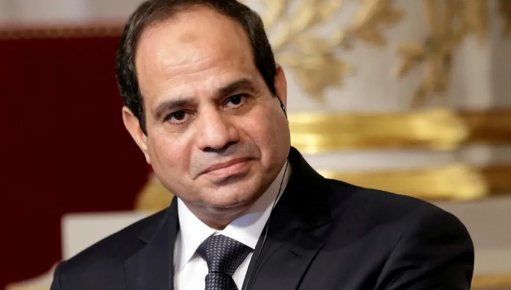 عبد الفتاح السيسي يدعو للتعامل مع قضايا الأنهار العابرة للحدود استناداً إلى القانون الدولي