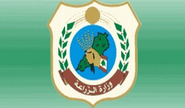 وزارة الزراعة تضبط مخالفة صيد بالديناميت قبالة كفرعبيدا