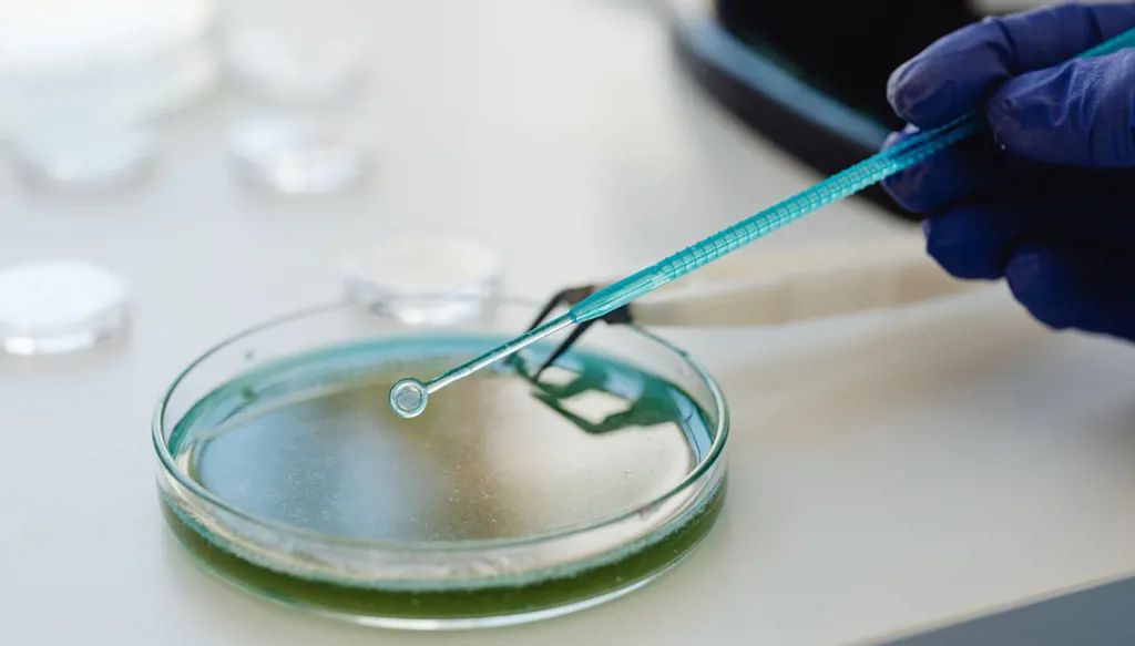 ما هي أبرز تحذيرات “CDC” لعام 2026؟
