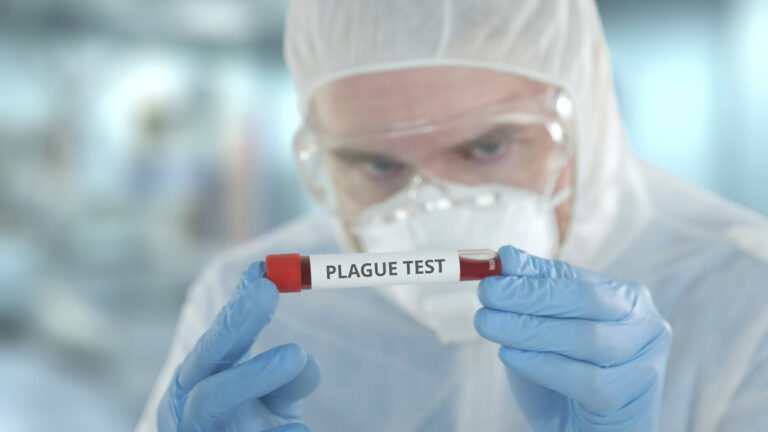 Fears of suspected plague outbreak in Russia, after lab worker’s death