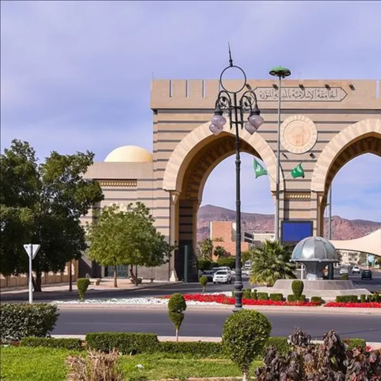 الجامعة الإسلامية تقفز 258 مركزاً في تصنيف Times Higher Education 2027