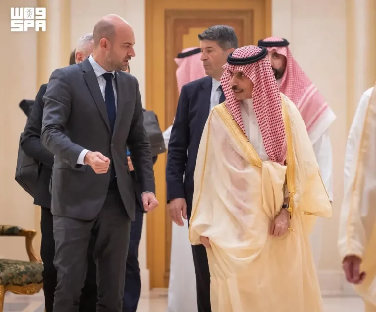 وزير الخارجية يستقبل نظيره الفرنسي ويبحثان العلاقات الثنائية والأوضاع الإقليمية