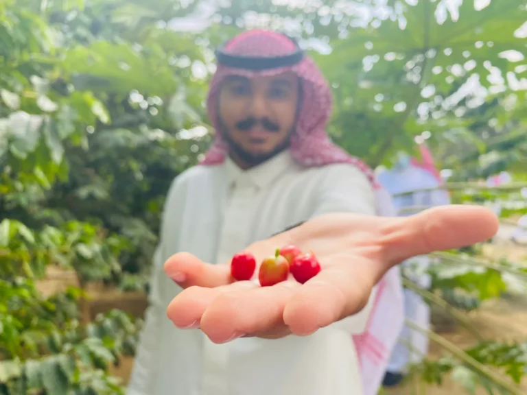 في اليوم العالمي للقهوة.. 78 أصلًا وراثيًا توثّق تنوع البن السعودي