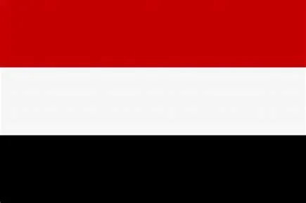 الحكومة اليمنية تدين الاعتداء الإرهابي على مطار الملك خالد الدولي وتؤكد وقوفها إلى جانب المملكة