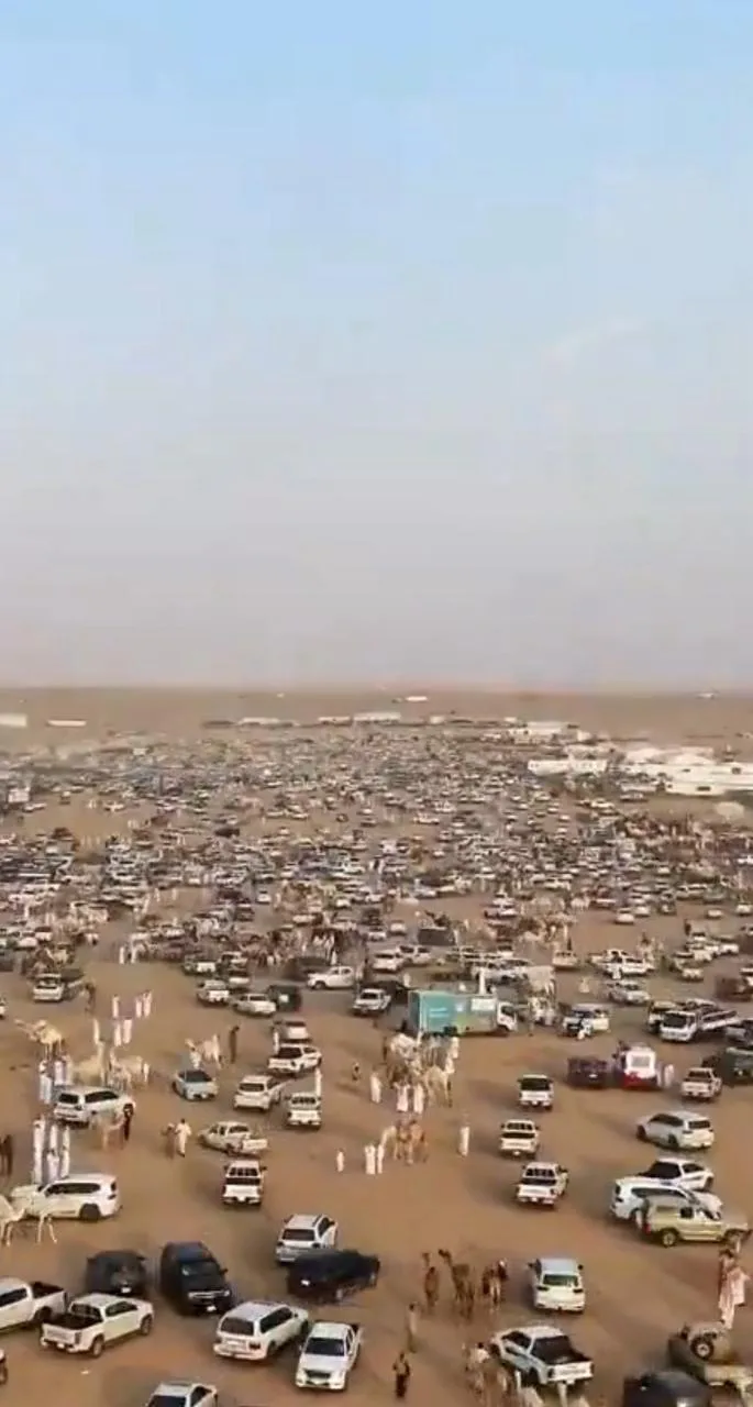 مدير «بيئة الرياض» يحضر تدشين مزاد ساجر للإبل ويؤكد دعم تنظيم المزادات