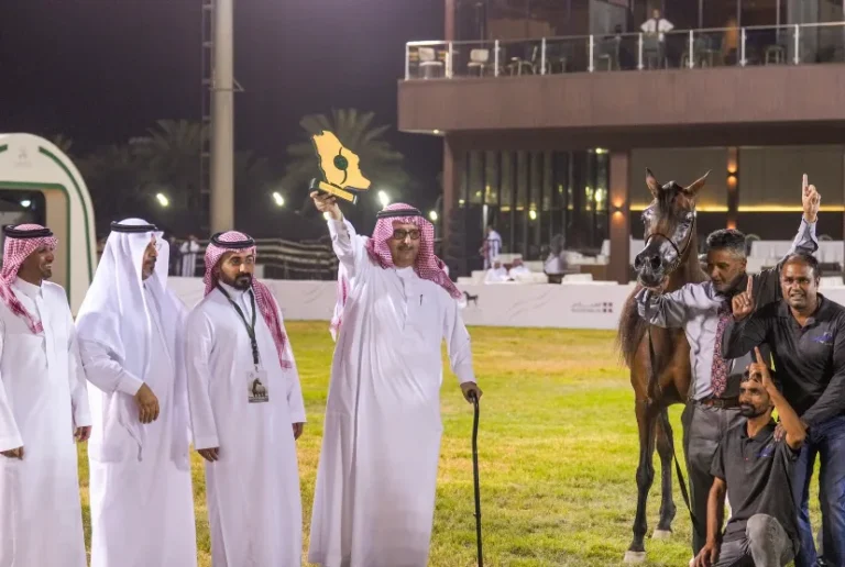 «نوف عذبه» تحصد الذهب في البطولة الوطنية لجمال الخيل العربية الأصيلة 2026