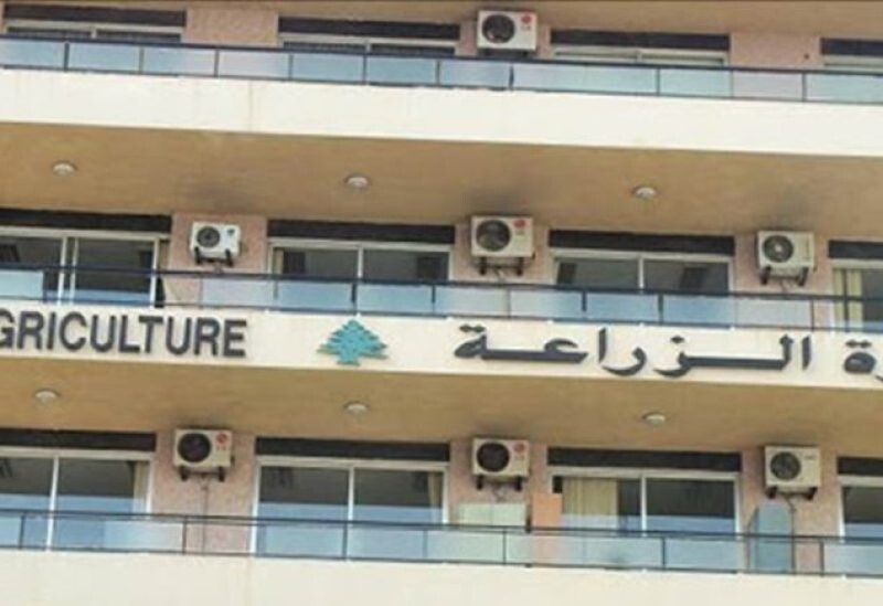 الجمهورية | “الزراعة” تؤكد سلامة عيّنات زيت الزيتون من الجنوب